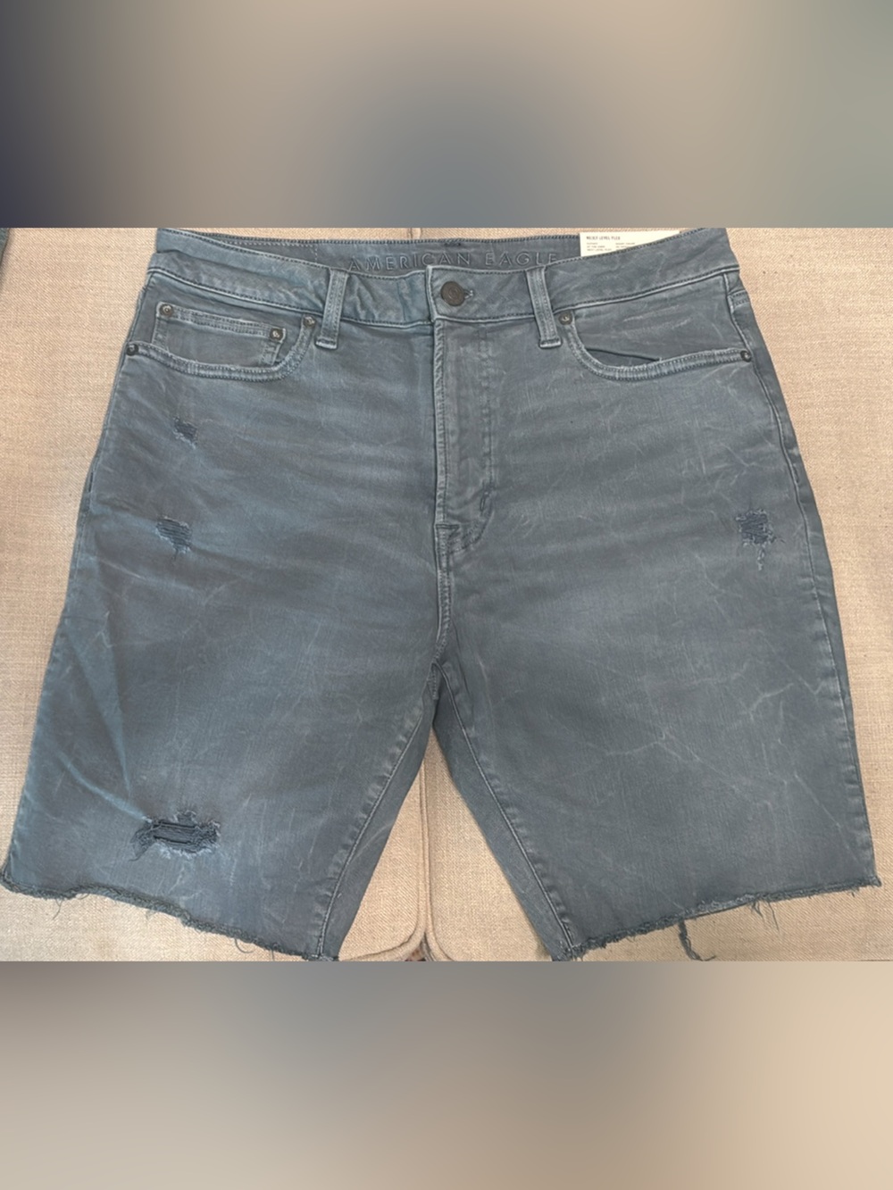 American Eagle Outfitters Light Blue Denim Shorts